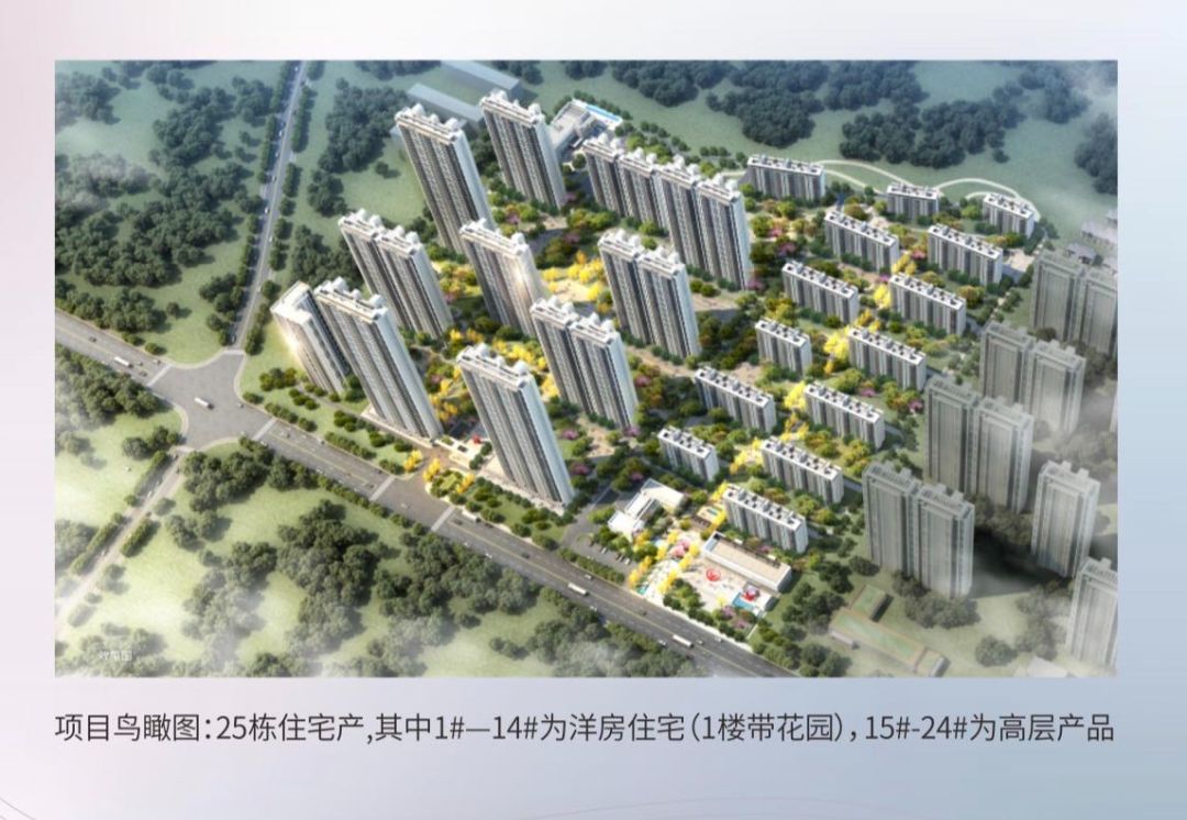 保利时光印象效果图