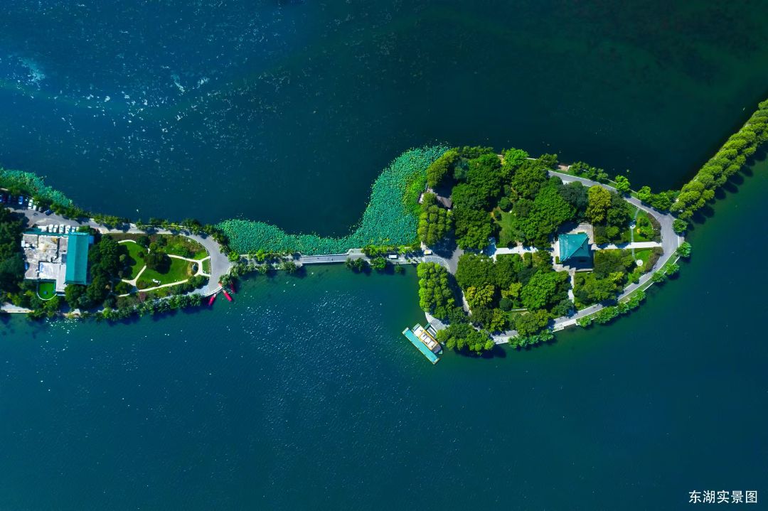 东湖金茂府配套图