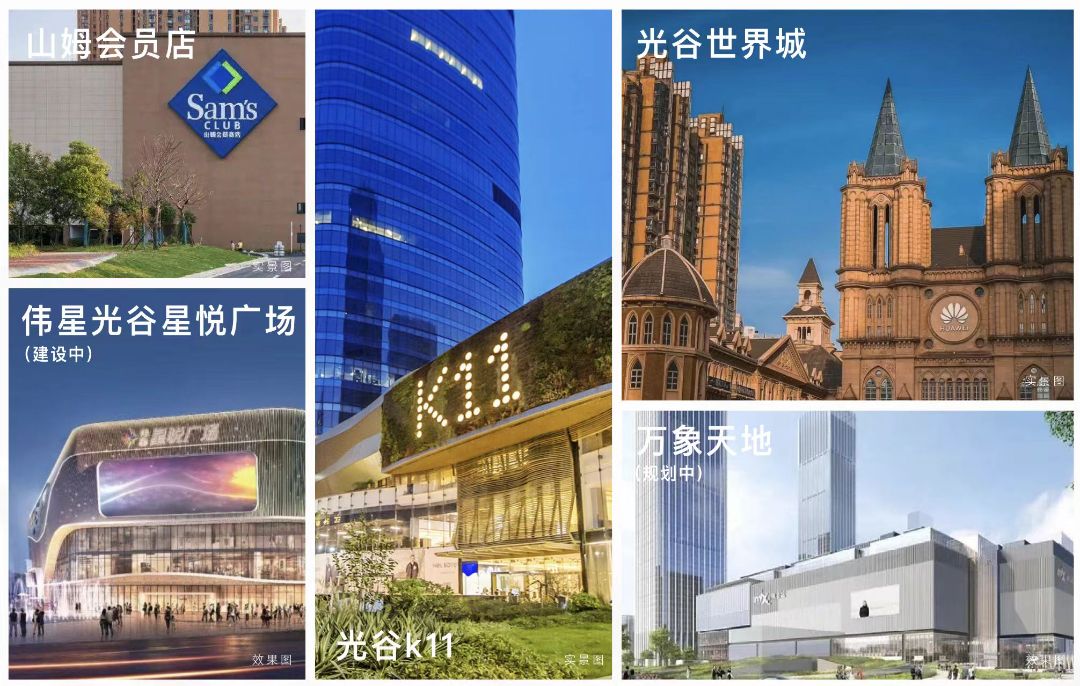 光谷湖畔八号配套图