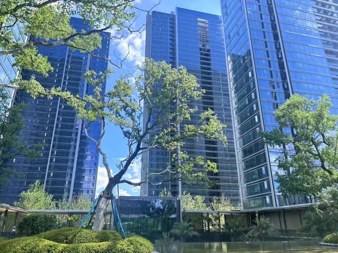 绿城湖畔雲庐实景图