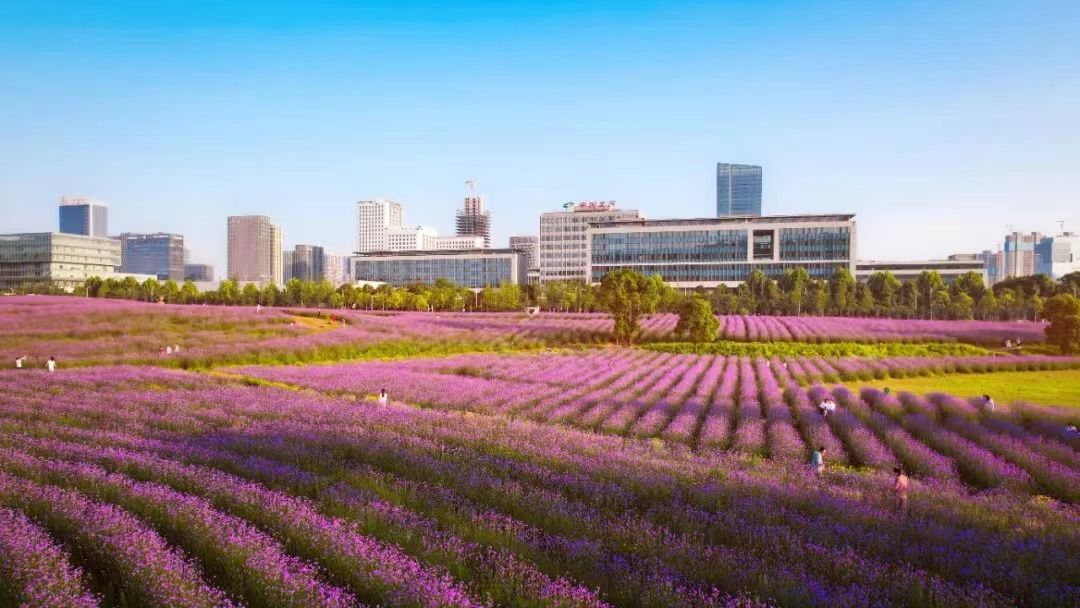 中建壹品汉韵公馆配套图