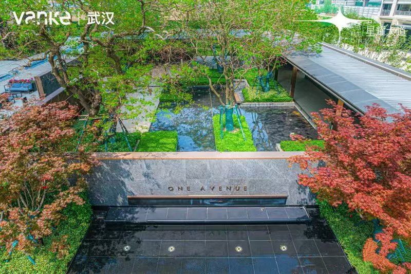 万科华生星耀大道实景图