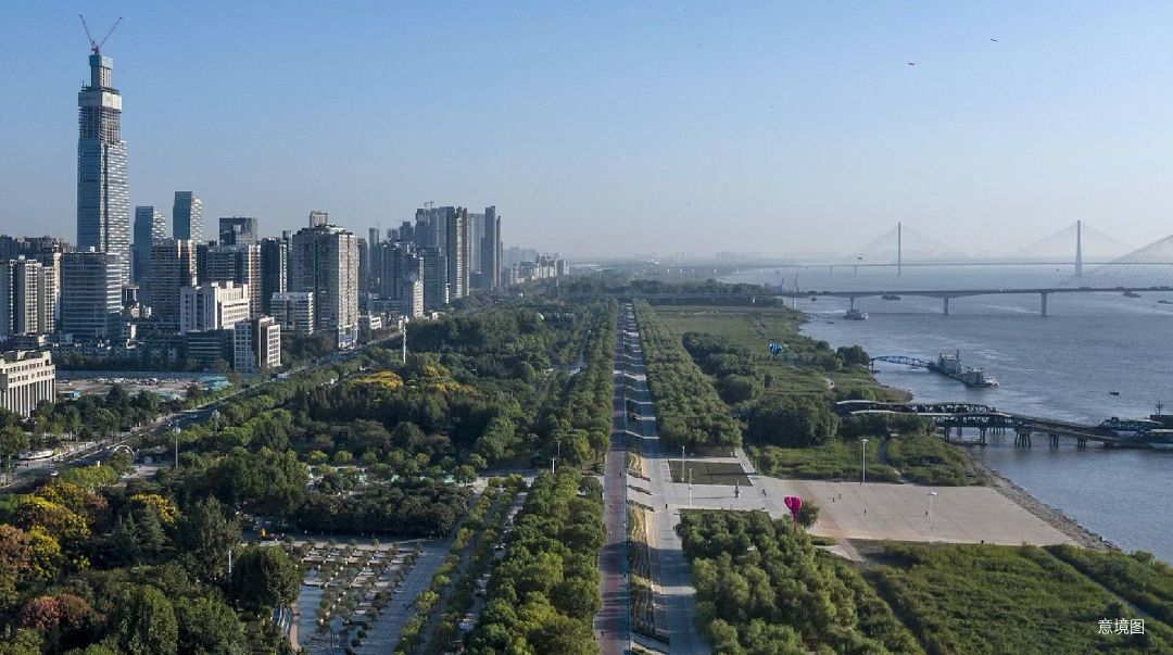 新希望.D10天元实景图