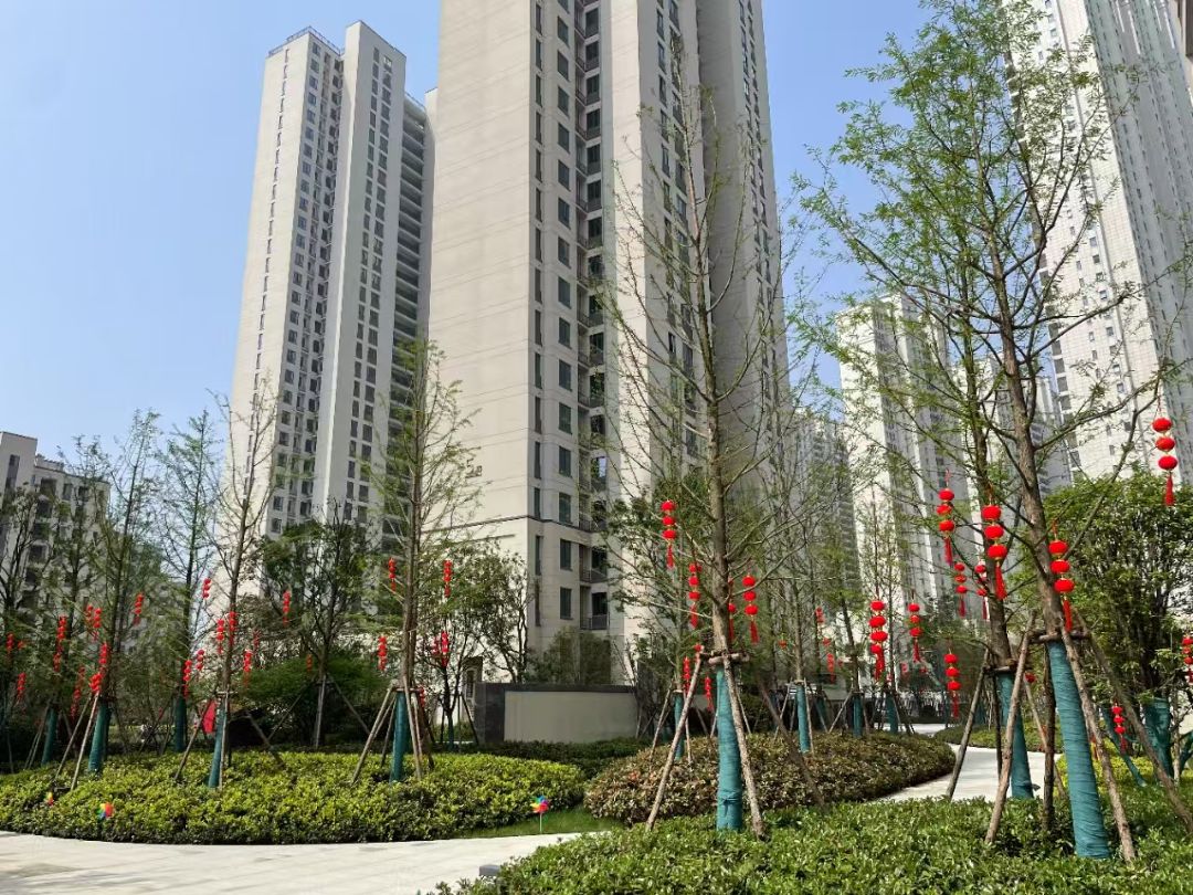 德信江宸实景图